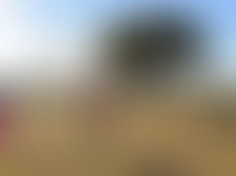 Batemans Bay parkrun # 115 - 14/07/2018