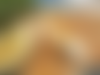 Kelly Eastwood's Sesame Crusted Feta with warm honey