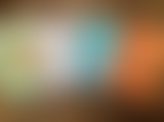 Literary Lunch at the Moruya Waterfront Hotel on November 15th with award-winning author Inga Simpso