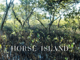 Horse Island - the book