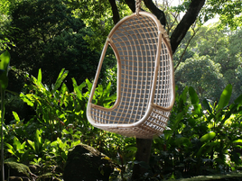 Editorial January 21st 2022