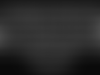 Another day at the office - the council meeting of July 25th