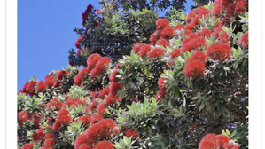 Beagle Weekender of December 23rd 2022 OUT NOW