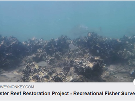 NSW Marine Estate Oyster Reef Restoration project - Recreational Fisher Survey