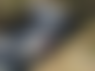 Bridge components on the move: Police urge patience