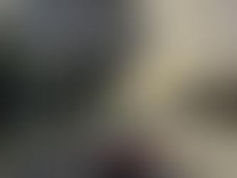 School zones are in operation from Friday 28 January