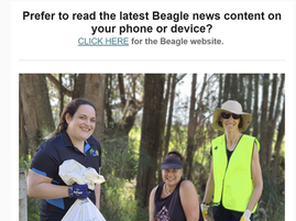 Your midweek Beagle news mailout is OUT NOW