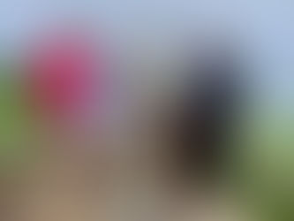 Broulee Runners Wed 25th Feb 2021