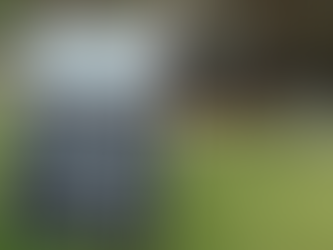 The Mossy Cafe is buzzing