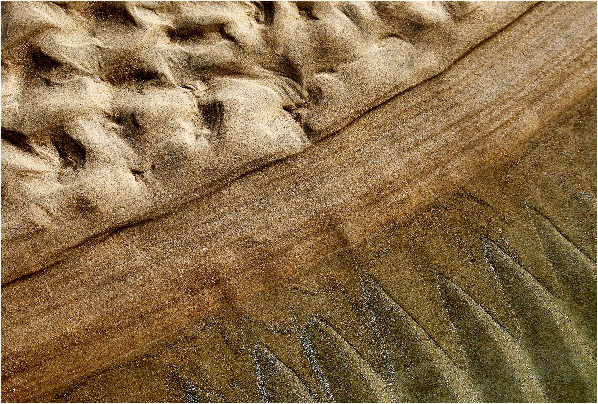 Silver- Brian Gunter -Sandy Shoreline