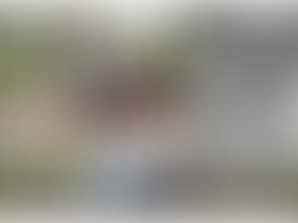 Batemans Bay Bushwalkers - Skid Ridge Rd to Myrtle Beach