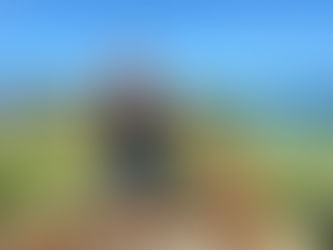 Broulee Runners Wed February 17th 2021