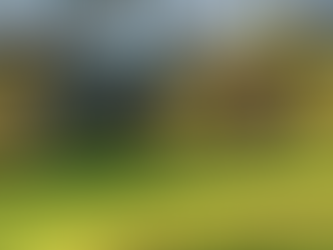 Downeys Take Out Tuross Vets Canadian Foursomes Event