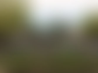 For the Love of Landys