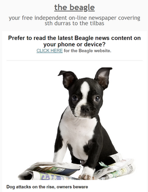 Beagle midweek edition November 2nd 2022 OUT NOW