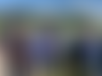 An electioneering photo shoot announces Council has made a grant application