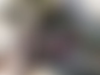 Batemans Bay Boars climb Mt Gulaga