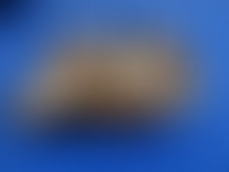 Tilba Woodwork Show June 11th and 12th