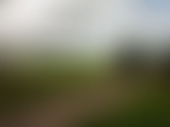 Cheese Making Course @ Tilba Aug 24th