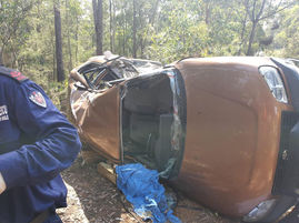 Car hits tree on Misons Road