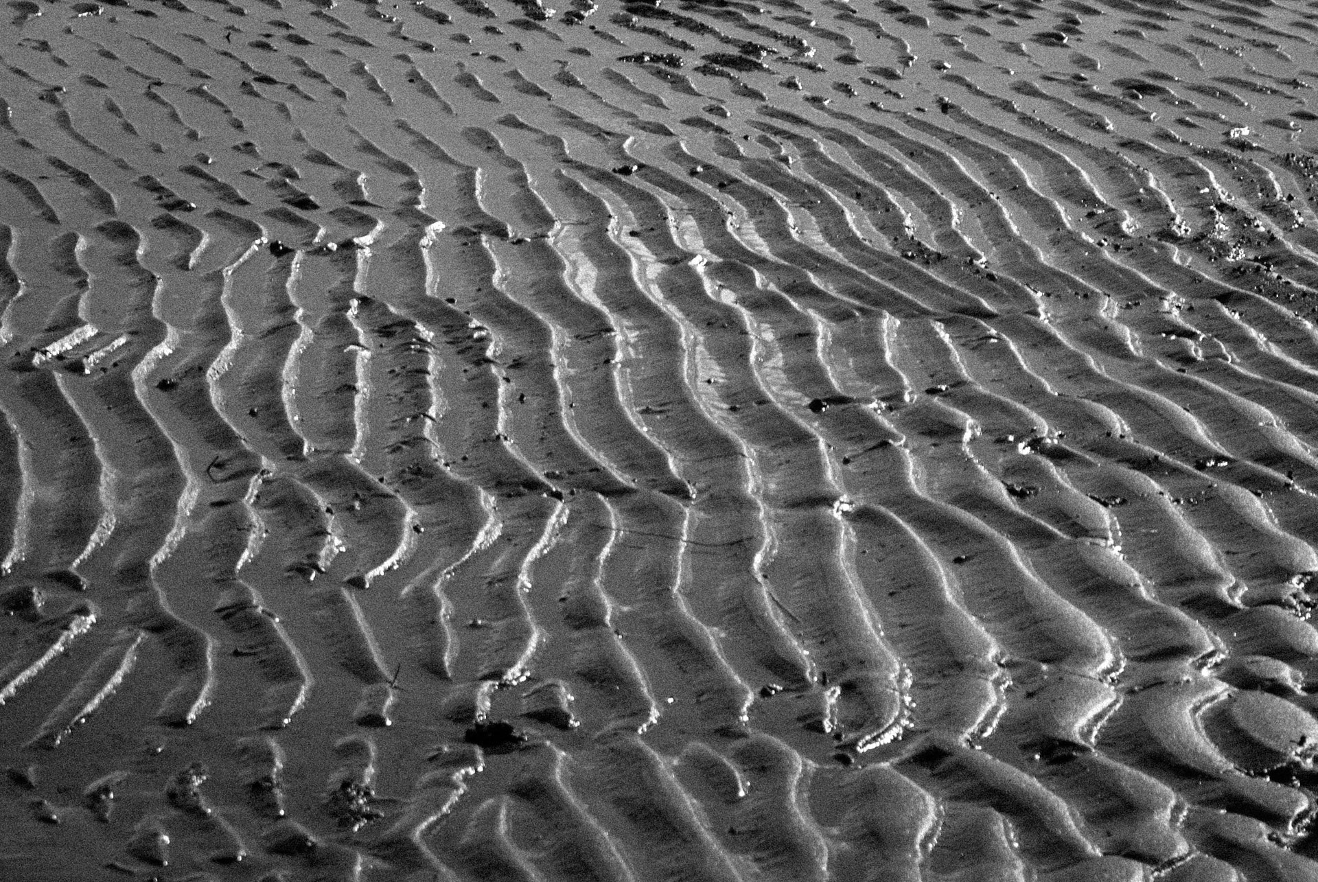 Silver-George Cook-Ripples