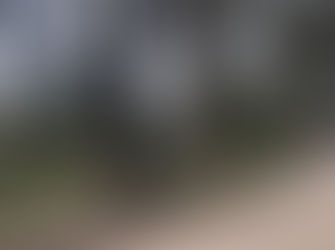 7am Wed Dec 1st Congo Meeting to Protest Council's Actions