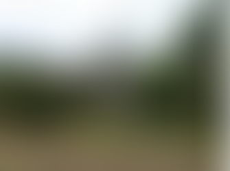 Tuross Head Bushfire Risk Assessment & Preparation