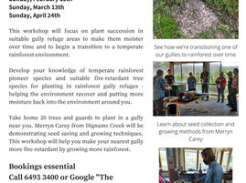 Making Gully Refuges More Fire-Retardant