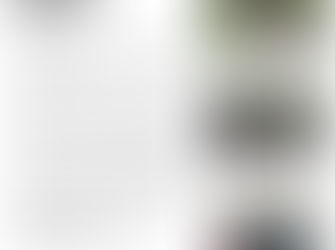 Making Gully Refuges More Fire-Retardant