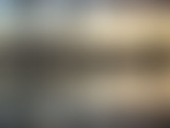 Councillor Disruption at Bay Chamber Christmas party