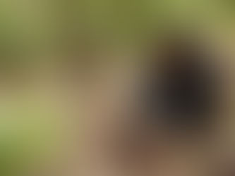 TAFE NSW Moruya Course To Build An Army Of Eco Warriors