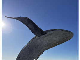 Beagle Midweek Edition July 12 2023 OUT NOW