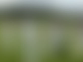 Paul Cullen of Tuross Head claims an exceptional 6 wickets for 10 runs