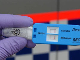 Far South Coast LAC NSW Police Force report