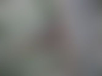 Stunning Photos aplenty on The Beagle