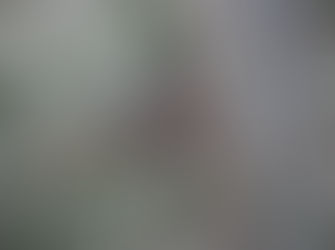 Stunning Photos aplenty on The Beagle