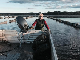 Oyster shuckers, foodies and chefs head for Narooma