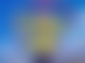 Stagger Home : a book by Christopher Timms