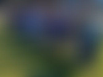 Bay Bushwalkers: Long Beach circuit