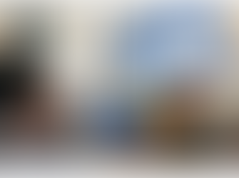 Bushfires and now coronavirus put businesses on the brink in Mogo