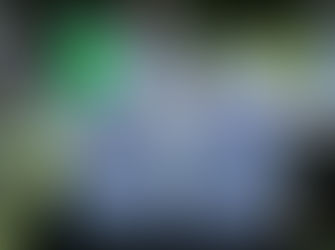 No matter if the sods don't show: a community sod will still be turned