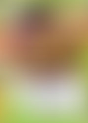 VOLUNTEER to HELP WILDLIFE, become a Rescuer and Carer March 4th