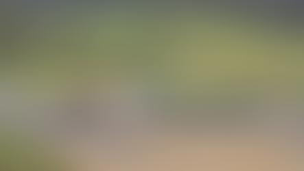 Bega: Domestic waste and recycling options up for discussion in shire’s north