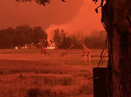 Go Fund Me fundraising IS MAKING A DIFFERENCE NOW.