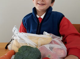 We can all do our bit for World Environment Day June 5th