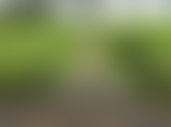 Community insist that illegal gate on Coopers Island Road be removed immediately to allow access