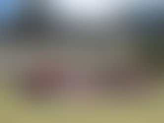 Club Malua Women's Bowls Report