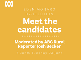 ABC: Meet the Candidates