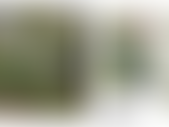 Gallery Bodalla presents: Justin Pearson