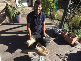Beach clean ups are great, logging it too is even better